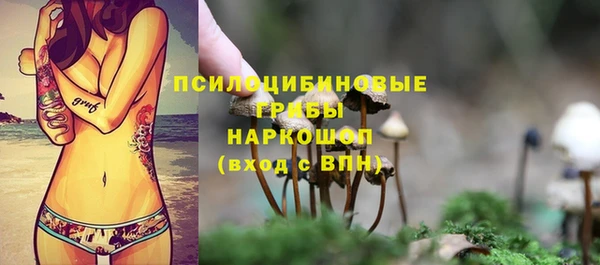 трава Куйбышев