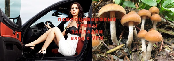 марки nbome Кукмор