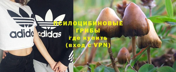 марки nbome Кукмор