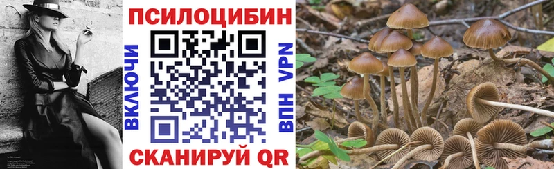 Галлюциногенные грибы мухоморы Чернушка
