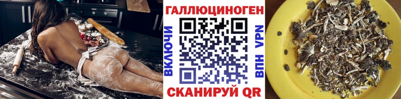 Купить закладки  Чернушка  Галлюциногенные грибы Psilocybe